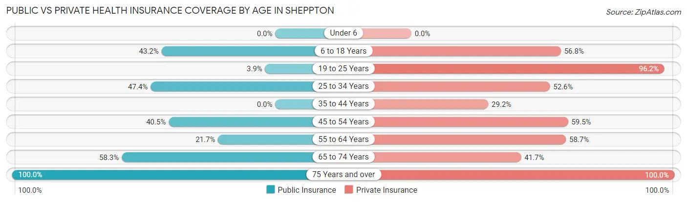 Public vs Private Health Insurance Coverage by Age in Sheppton