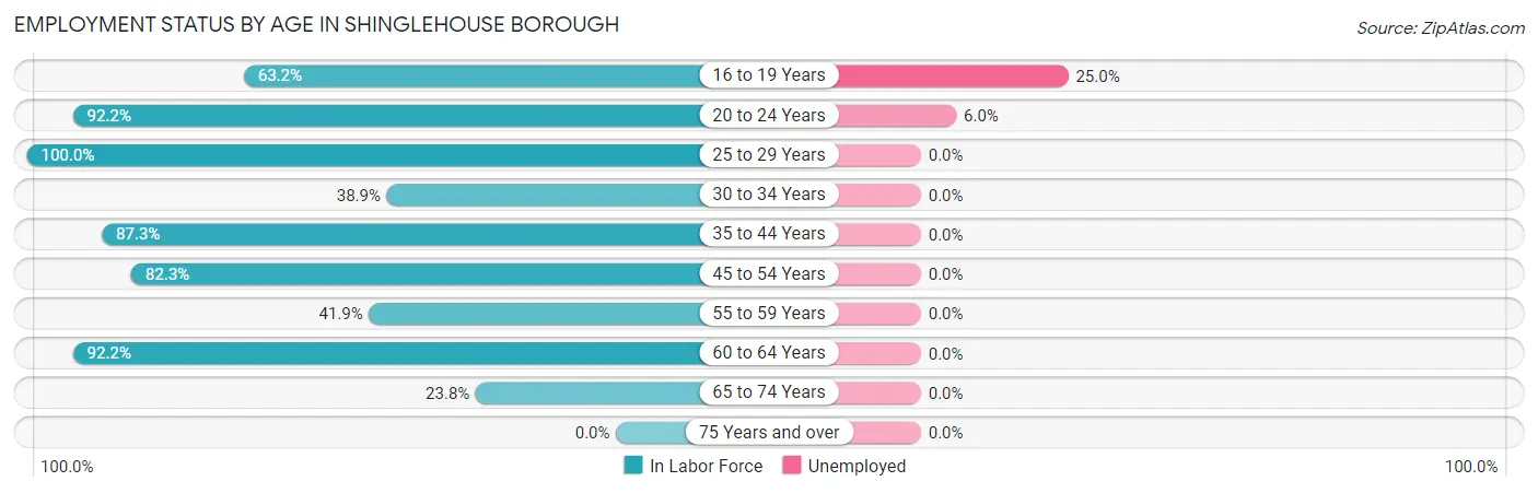 Employment Status by Age in Shinglehouse borough