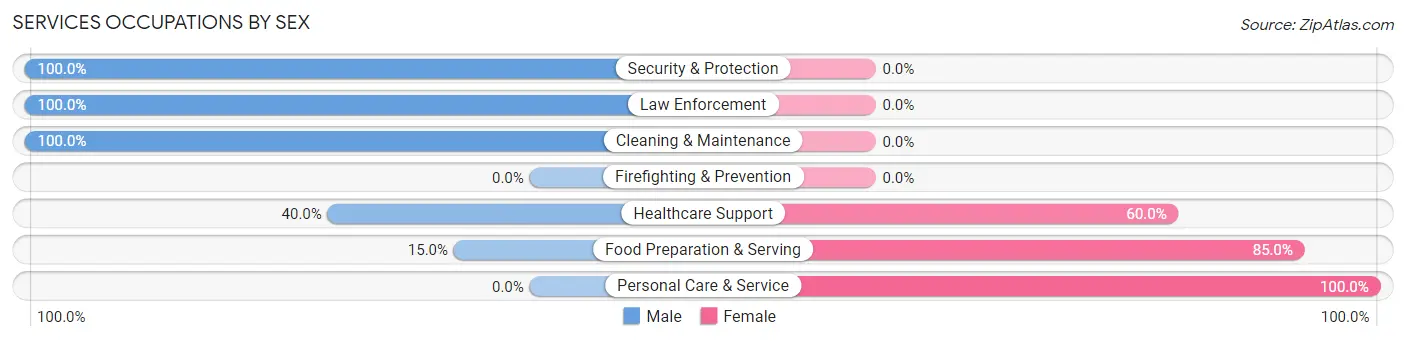 Services Occupations by Sex in Shippenville borough