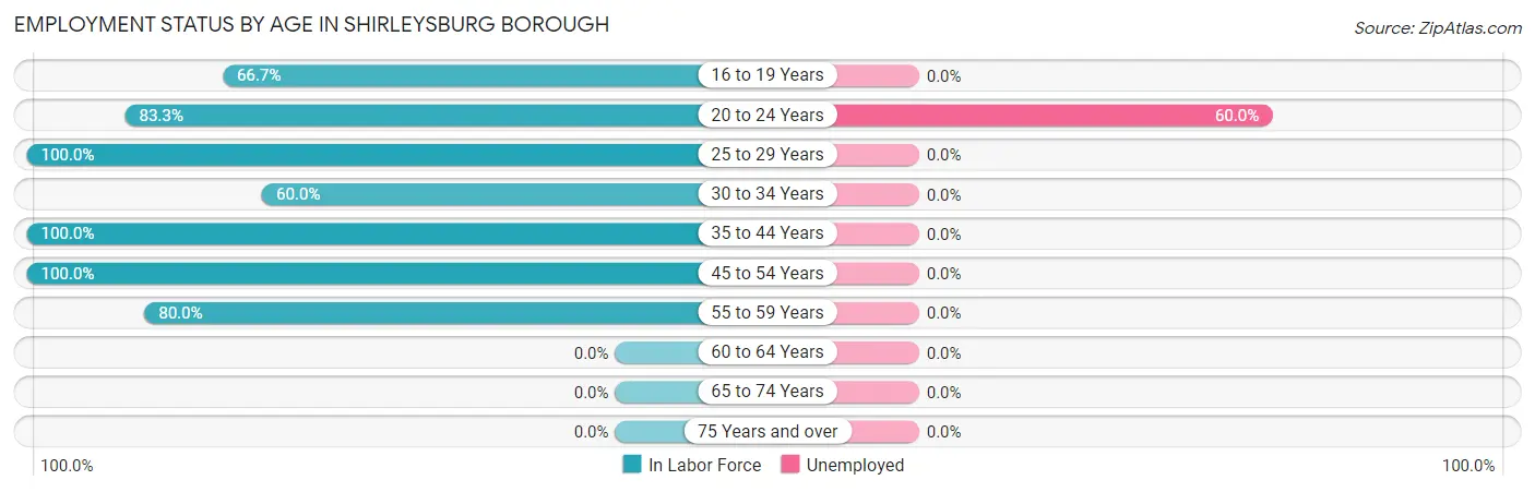 Employment Status by Age in Shirleysburg borough