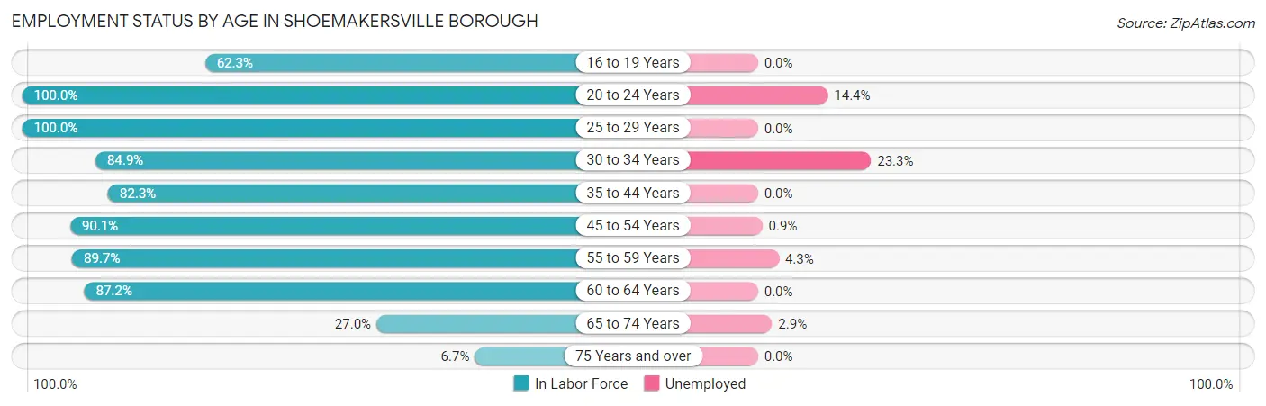Employment Status by Age in Shoemakersville borough