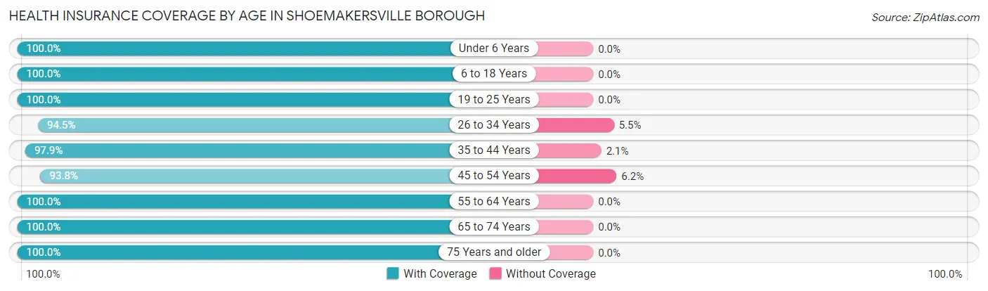 Health Insurance Coverage by Age in Shoemakersville borough