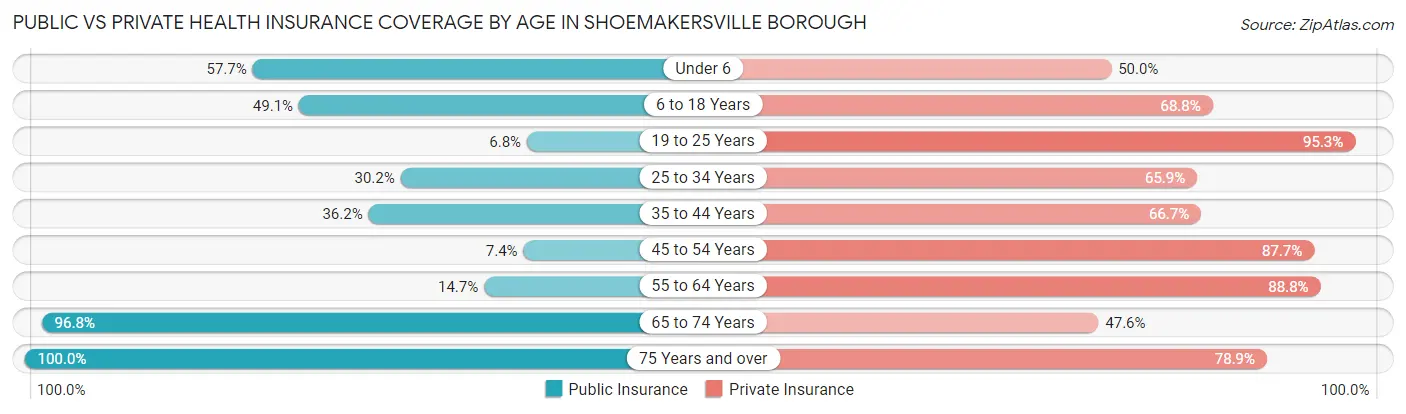 Public vs Private Health Insurance Coverage by Age in Shoemakersville borough