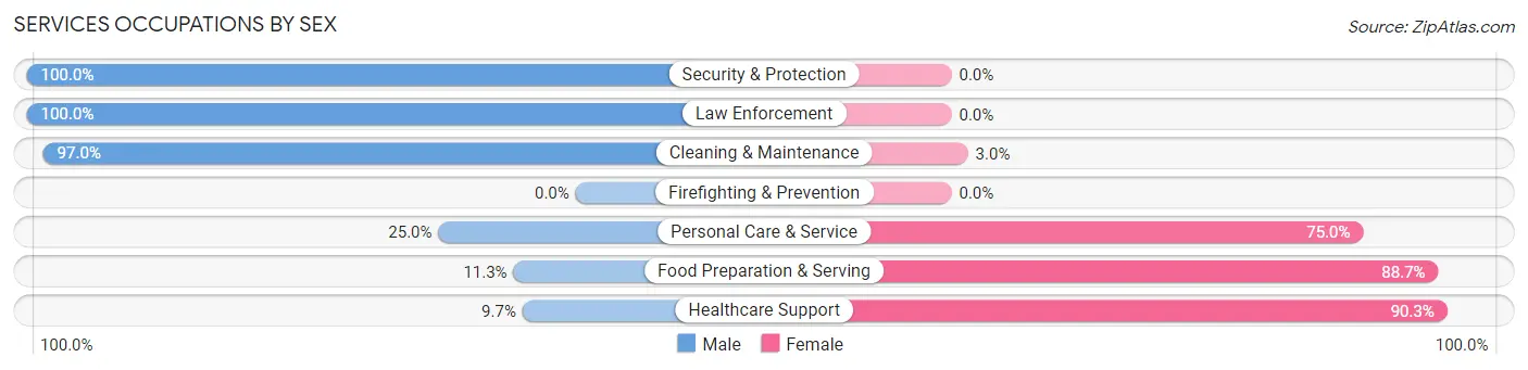 Services Occupations by Sex in Shoemakersville borough