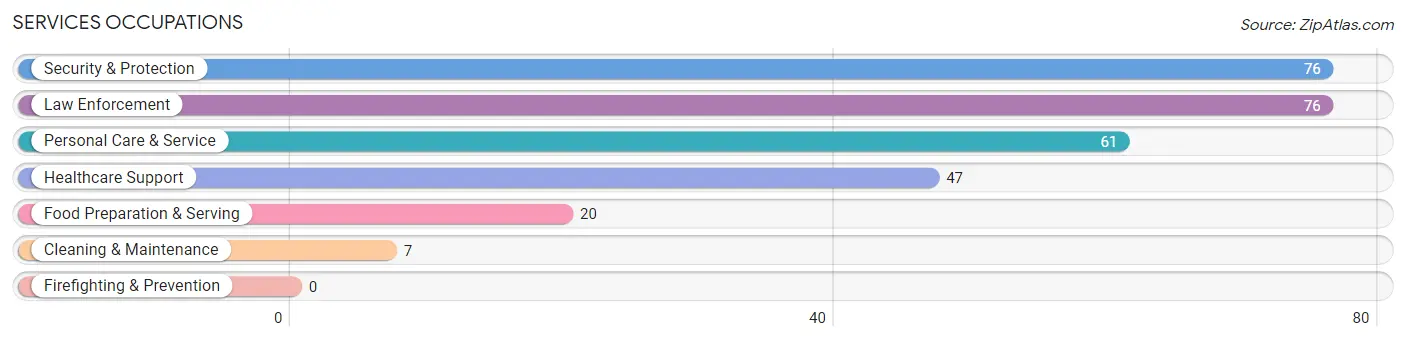 Services Occupations in Shrewsbury borough