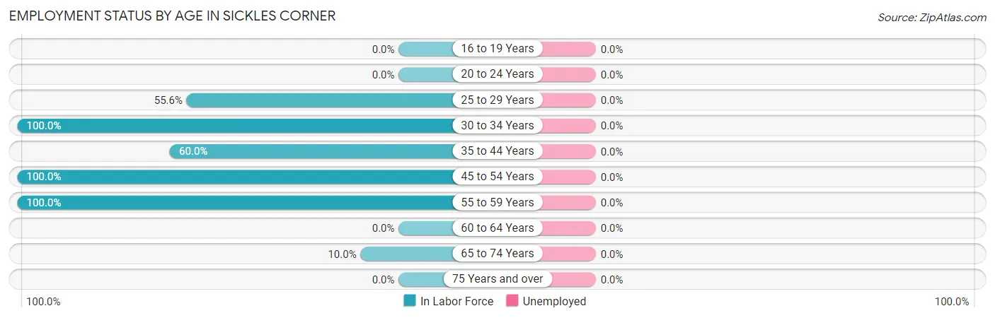 Employment Status by Age in Sickles Corner