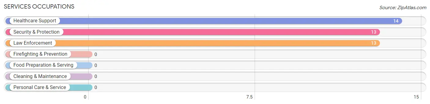 Services Occupations in Silkworth