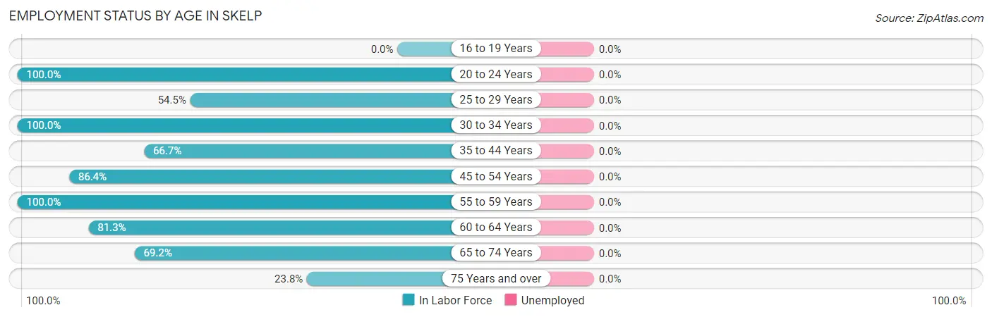 Employment Status by Age in Skelp