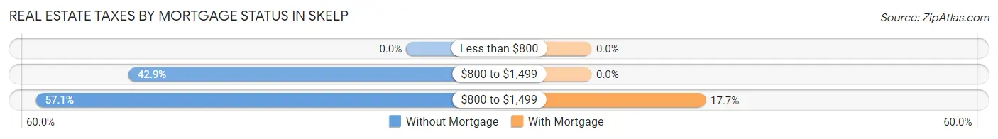 Real Estate Taxes by Mortgage Status in Skelp