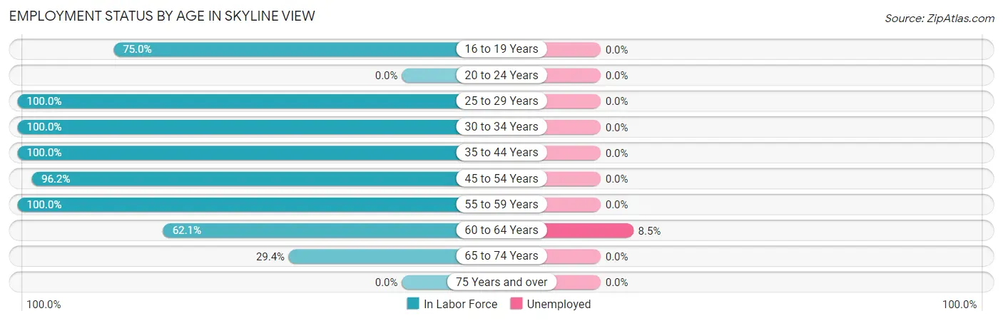Employment Status by Age in Skyline View