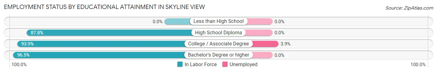 Employment Status by Educational Attainment in Skyline View