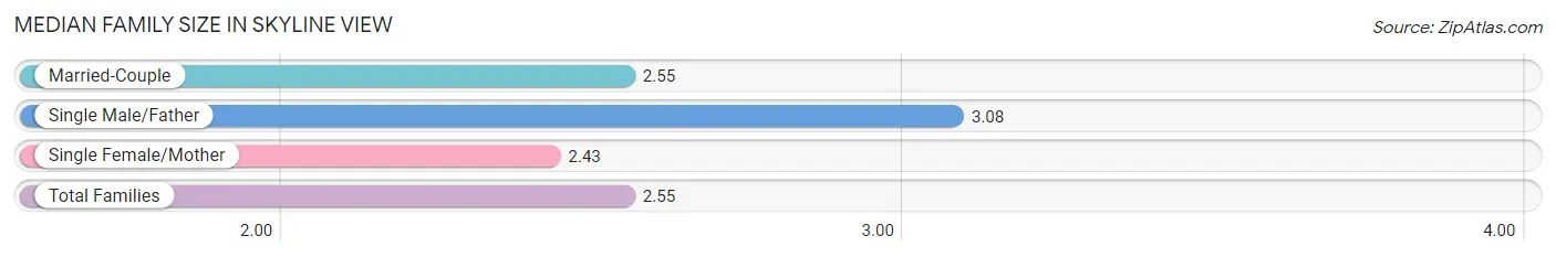 Median Family Size in Skyline View