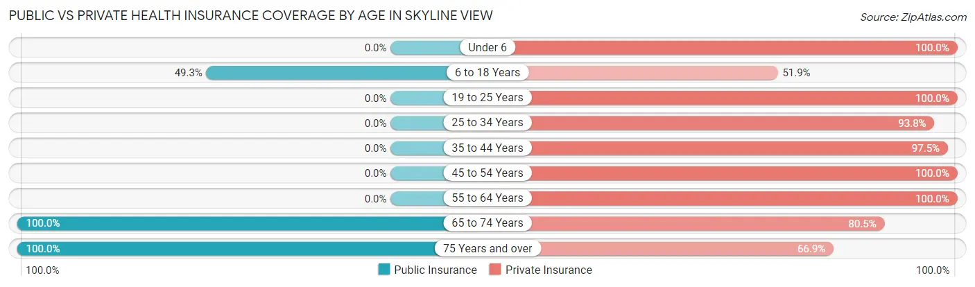 Public vs Private Health Insurance Coverage by Age in Skyline View