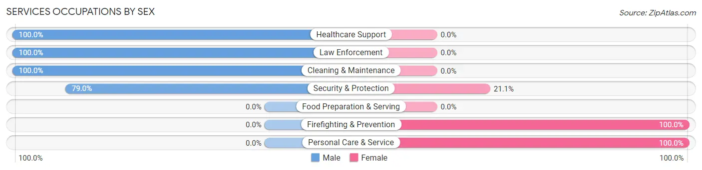 Services Occupations by Sex in Skyline View