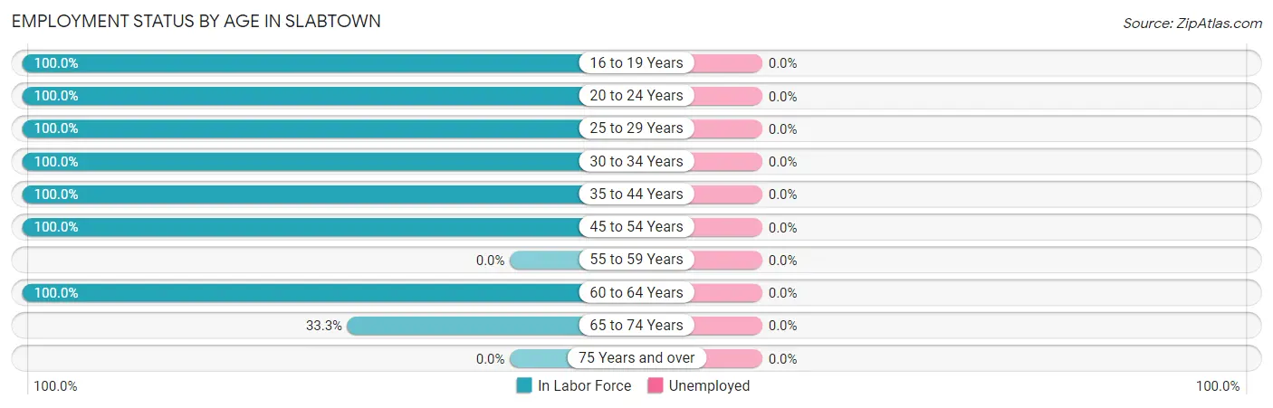Employment Status by Age in Slabtown