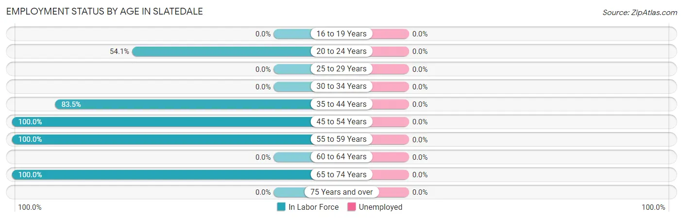 Employment Status by Age in Slatedale