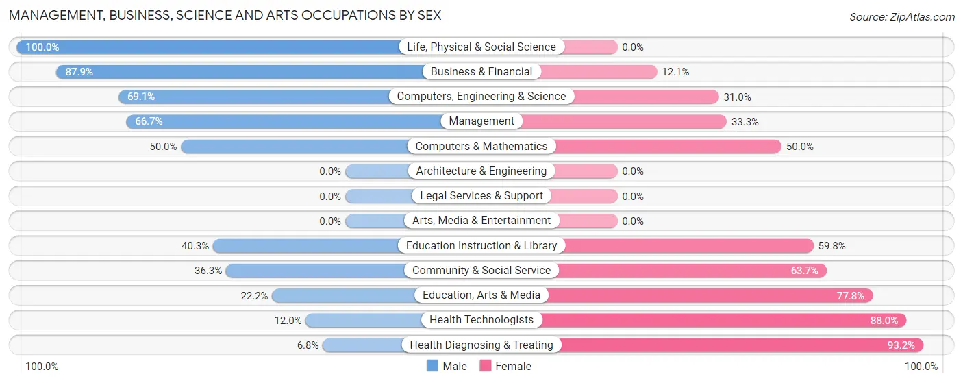 Management, Business, Science and Arts Occupations by Sex in Slatington borough