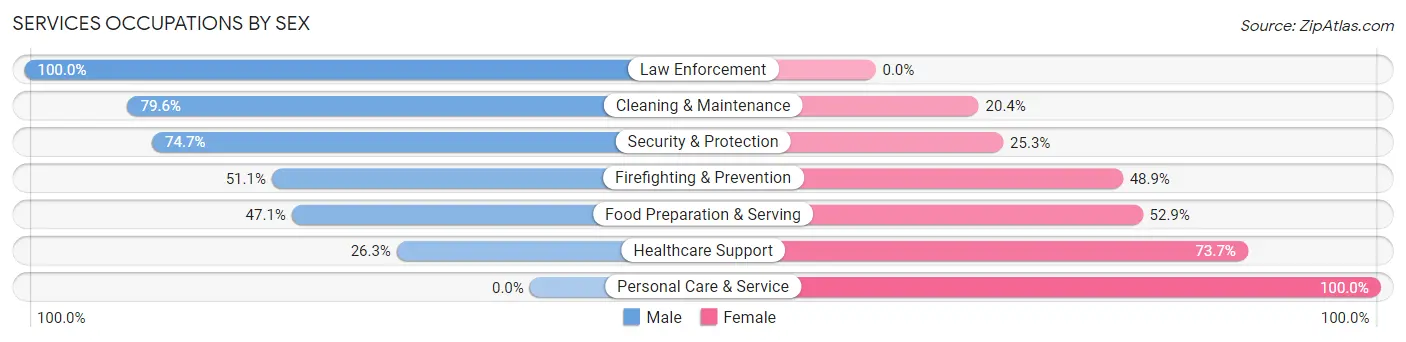 Services Occupations by Sex in Slatington borough