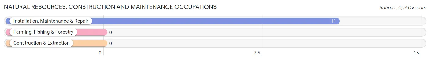 Natural Resources, Construction and Maintenance Occupations in Slickville