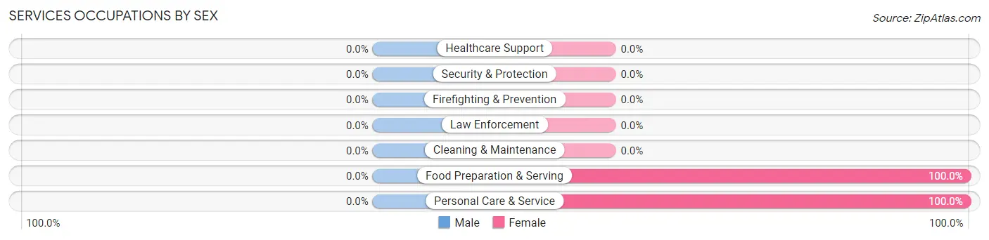 Services Occupations by Sex in Slovan