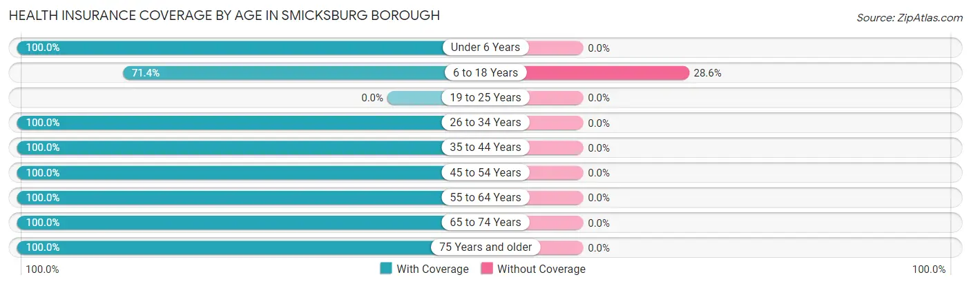 Health Insurance Coverage by Age in Smicksburg borough