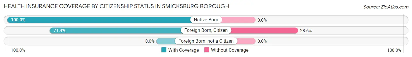 Health Insurance Coverage by Citizenship Status in Smicksburg borough