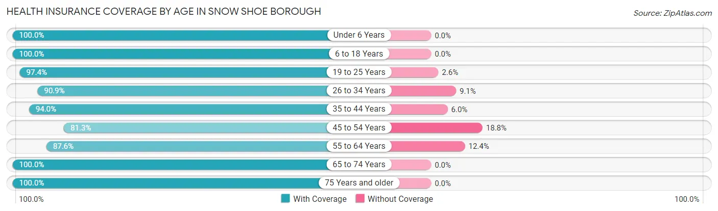 Health Insurance Coverage by Age in Snow Shoe borough
