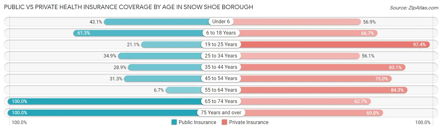 Public vs Private Health Insurance Coverage by Age in Snow Shoe borough