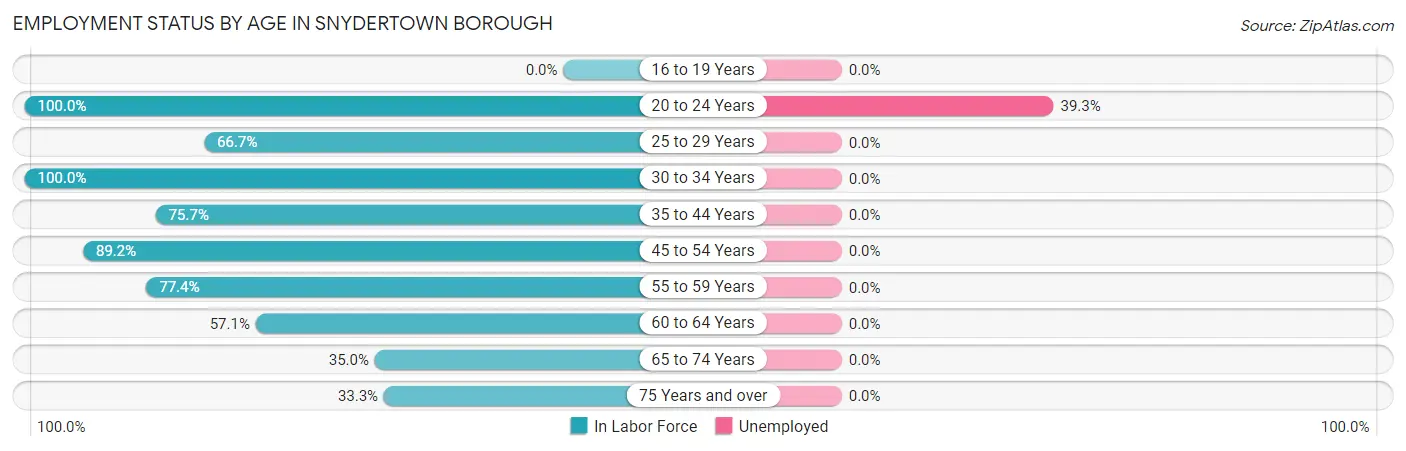 Employment Status by Age in Snydertown borough