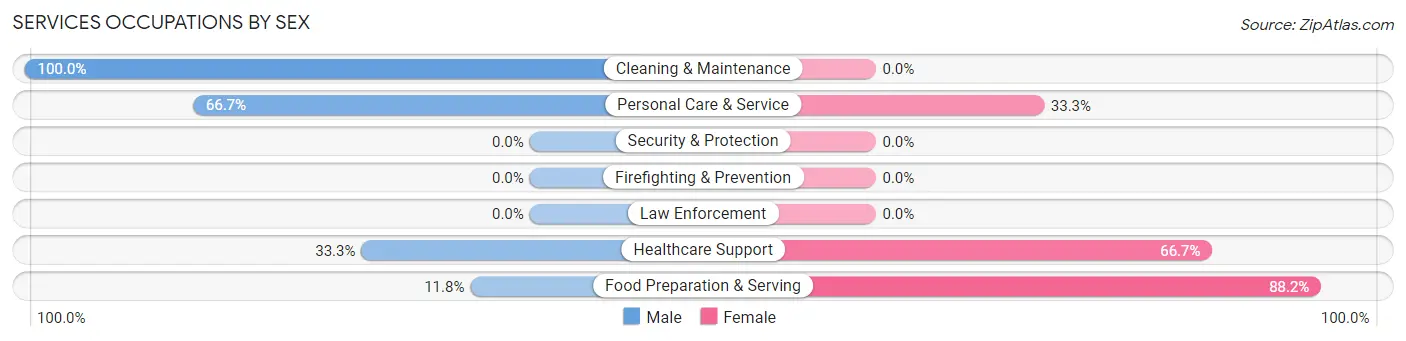 Services Occupations by Sex in Snydertown borough