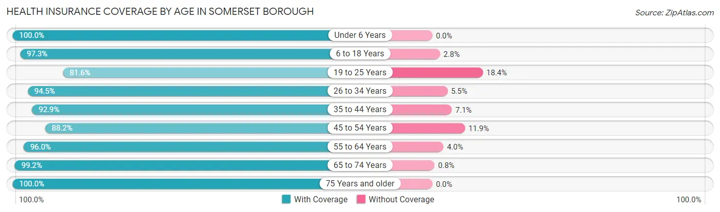 Health Insurance Coverage by Age in Somerset borough