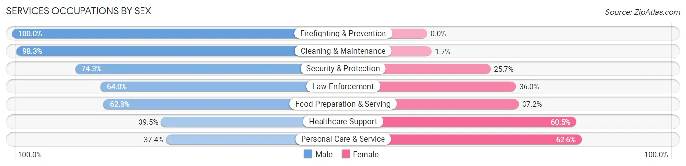 Services Occupations by Sex in Somerset borough