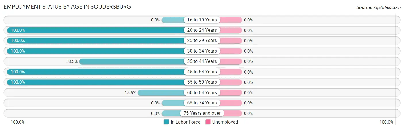Employment Status by Age in Soudersburg