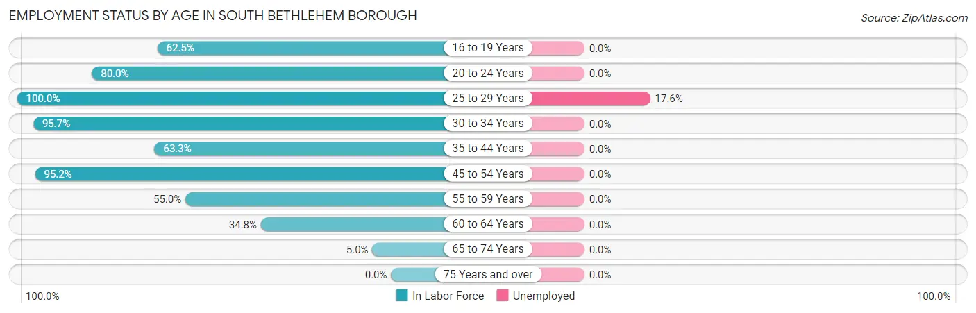 Employment Status by Age in South Bethlehem borough