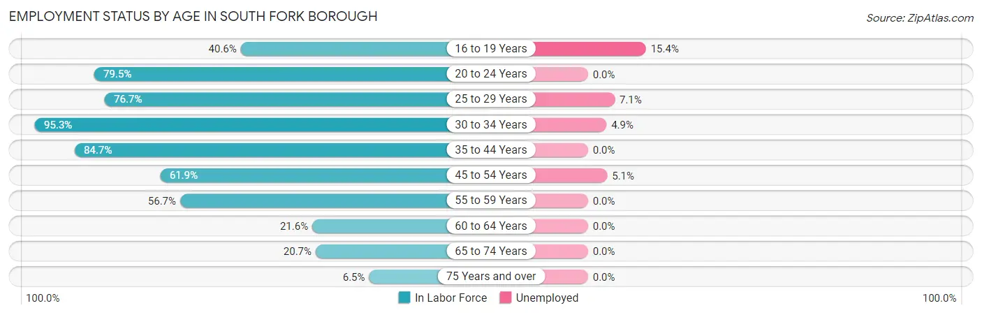 Employment Status by Age in South Fork borough