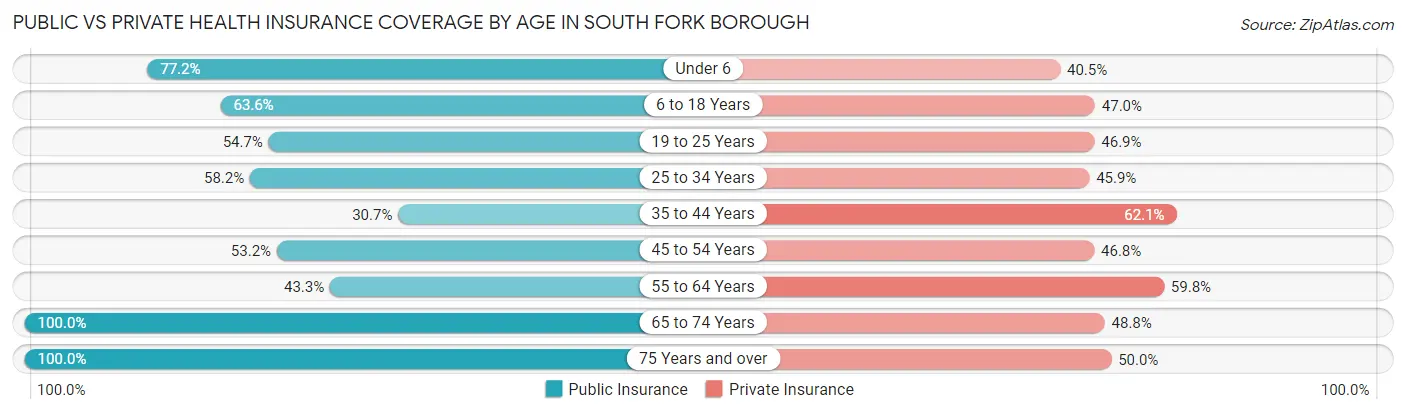 Public vs Private Health Insurance Coverage by Age in South Fork borough