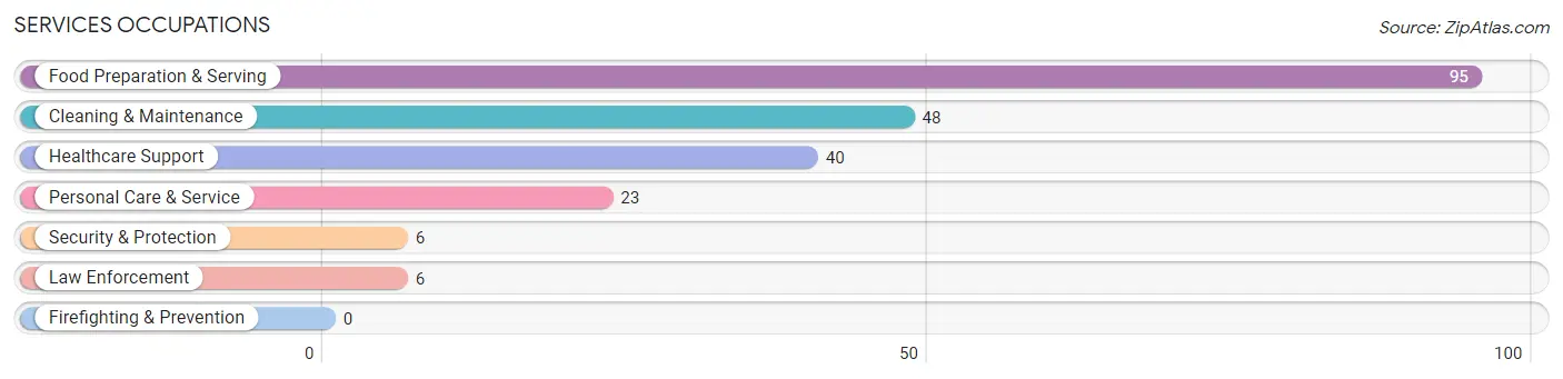 Services Occupations in South Greensburg borough