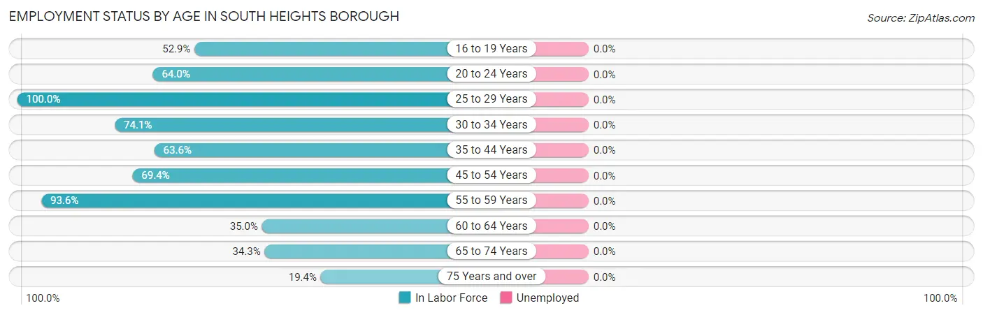 Employment Status by Age in South Heights borough
