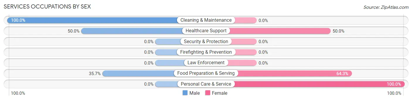 Services Occupations by Sex in South Heights borough