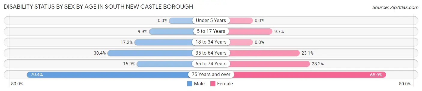 Disability Status by Sex by Age in South New Castle borough