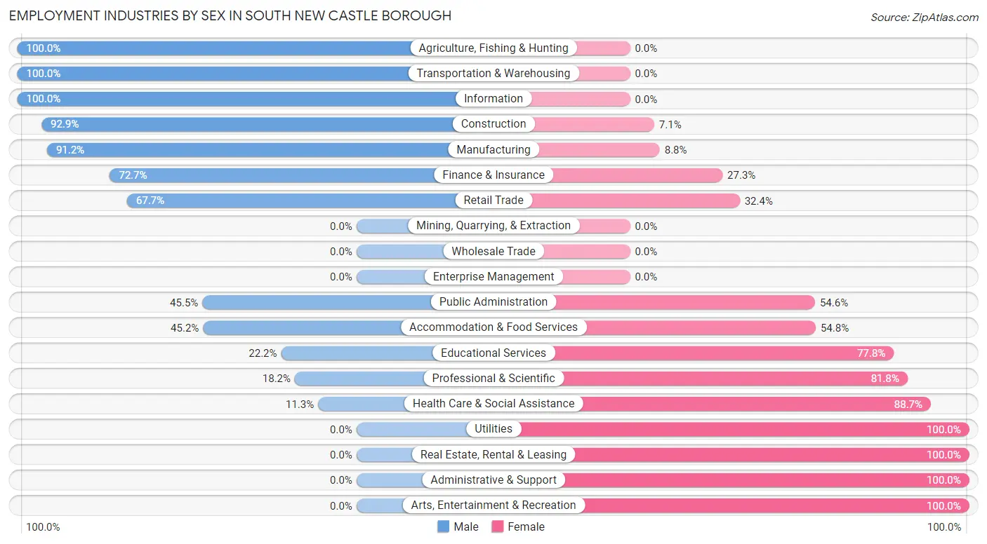 Employment Industries by Sex in South New Castle borough