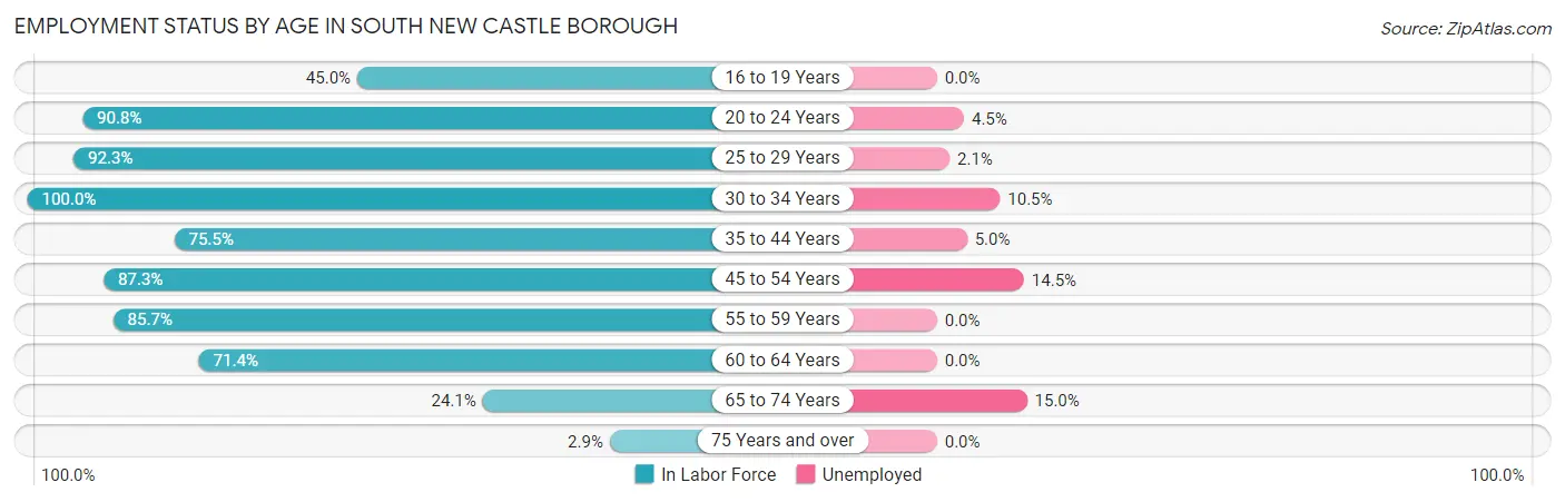 Employment Status by Age in South New Castle borough
