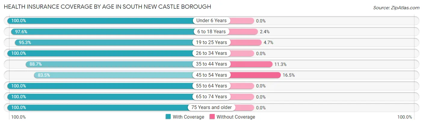 Health Insurance Coverage by Age in South New Castle borough