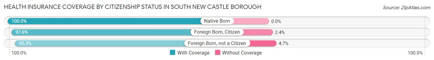 Health Insurance Coverage by Citizenship Status in South New Castle borough