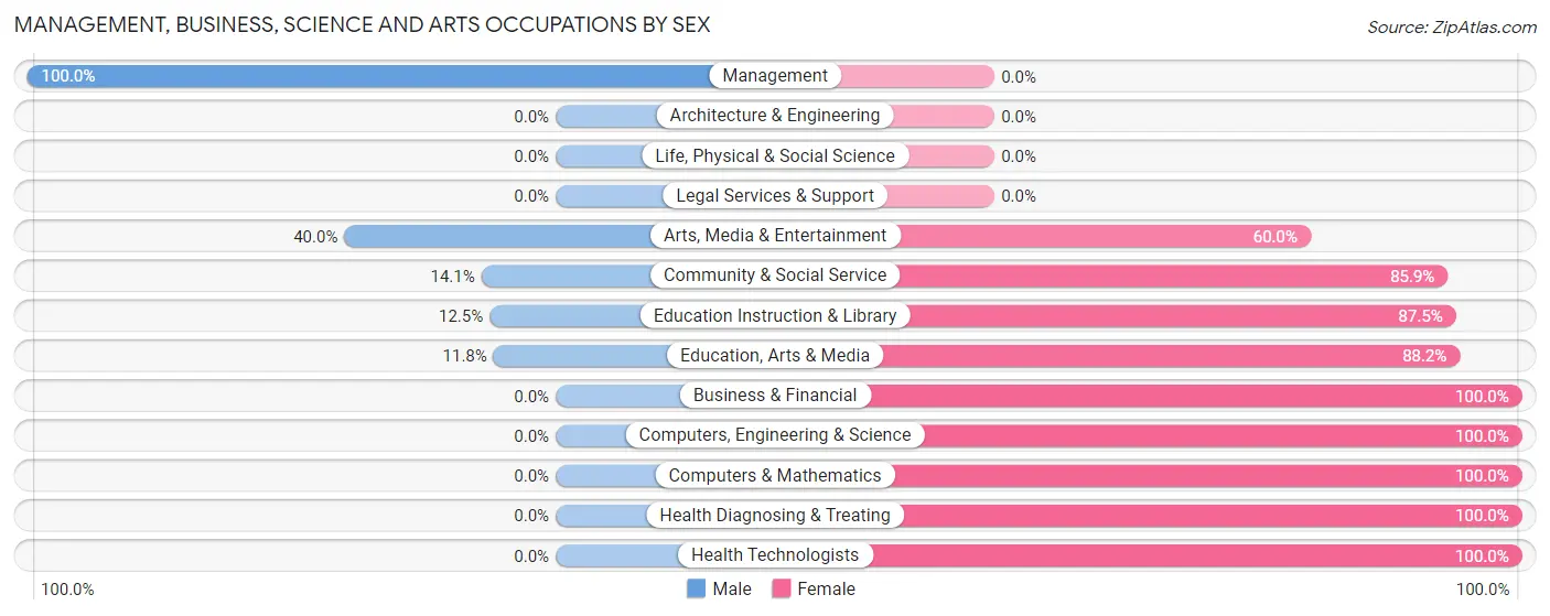 Management, Business, Science and Arts Occupations by Sex in South New Castle borough