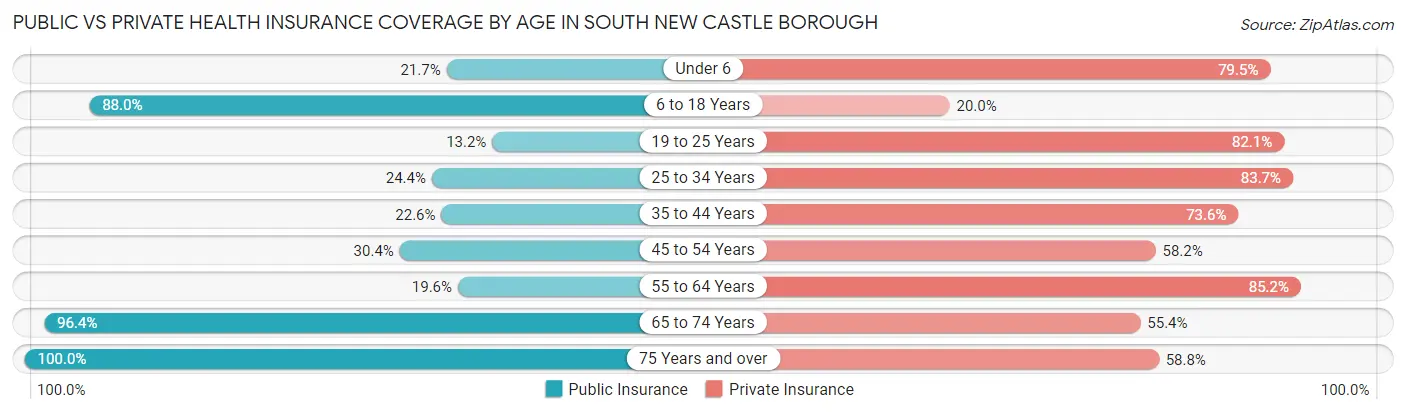 Public vs Private Health Insurance Coverage by Age in South New Castle borough