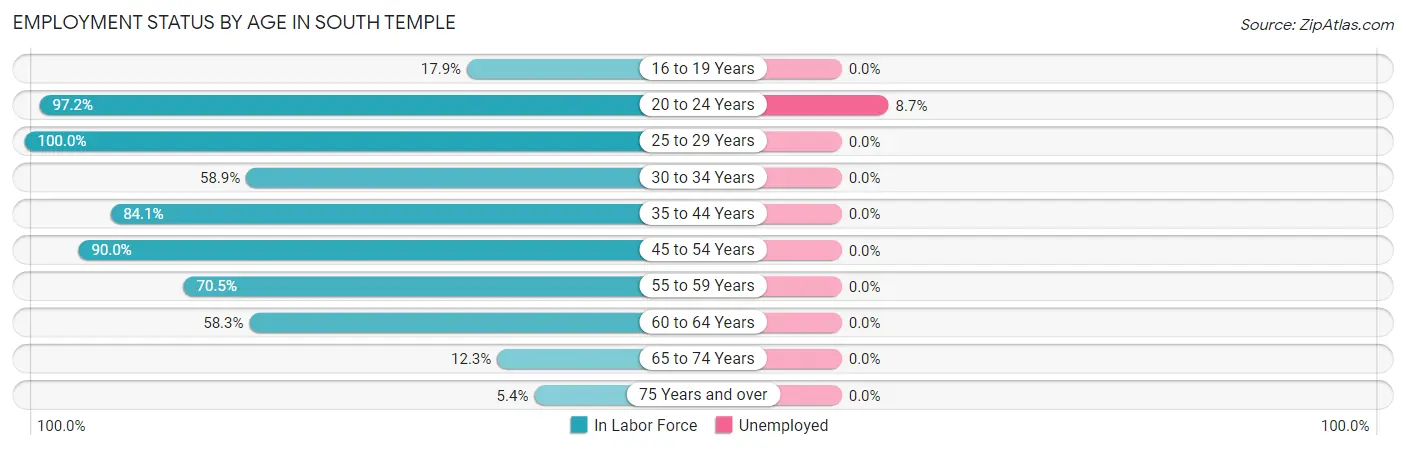 Employment Status by Age in South Temple