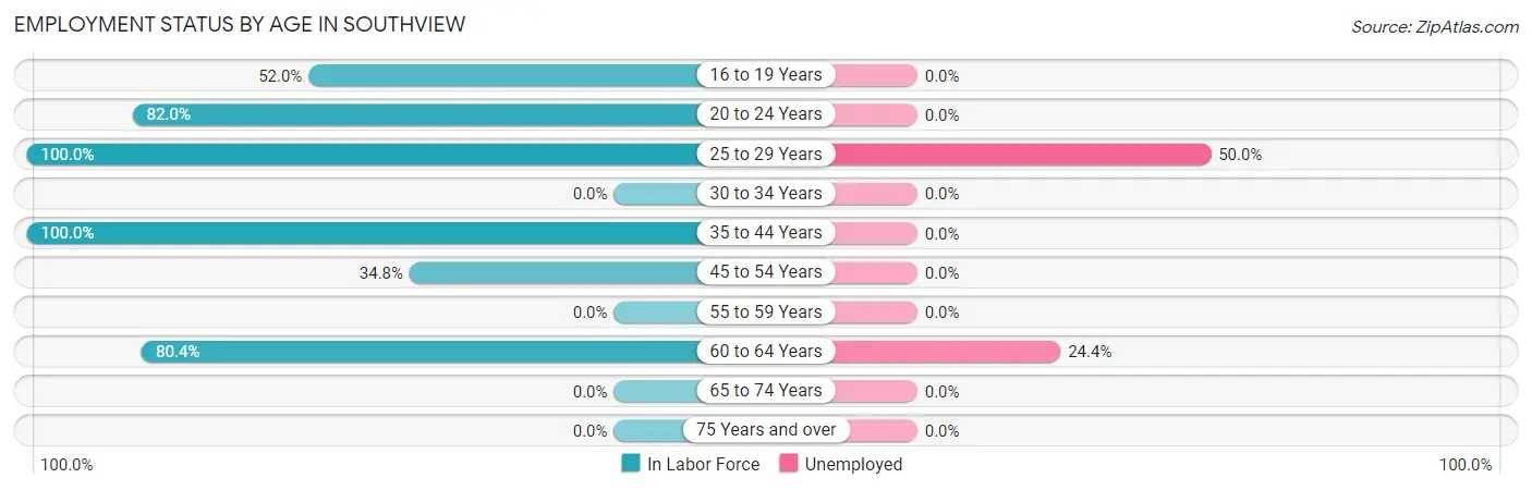 Employment Status by Age in Southview