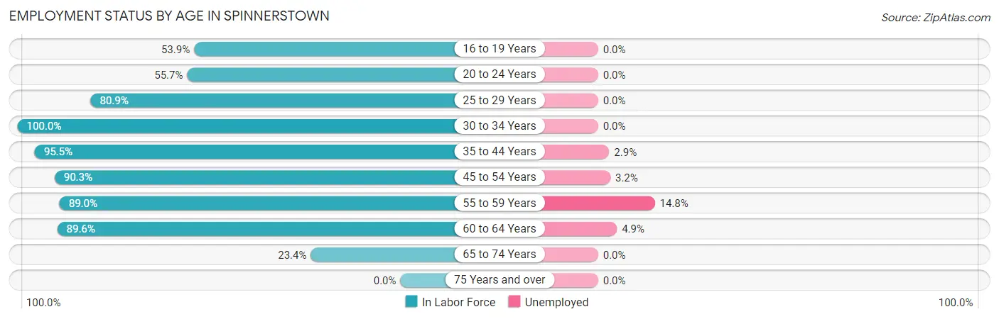 Employment Status by Age in Spinnerstown