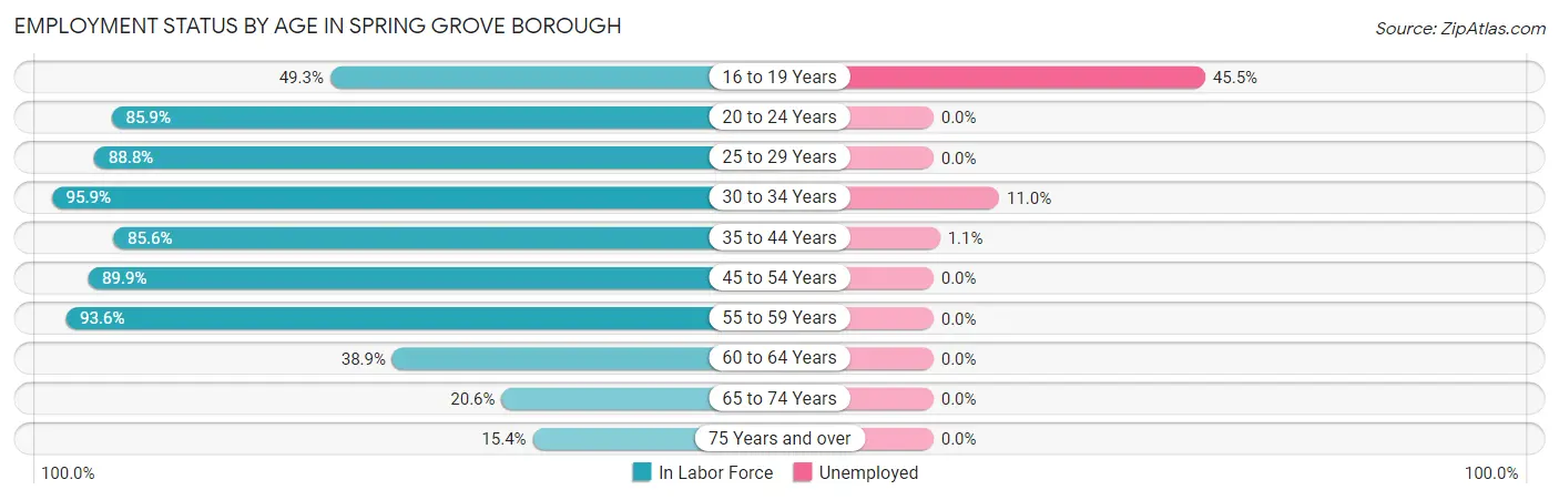 Employment Status by Age in Spring Grove borough